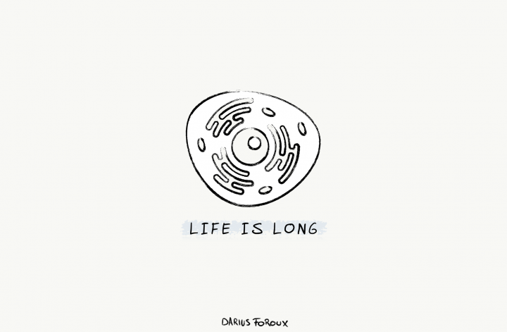 are you wasting your life